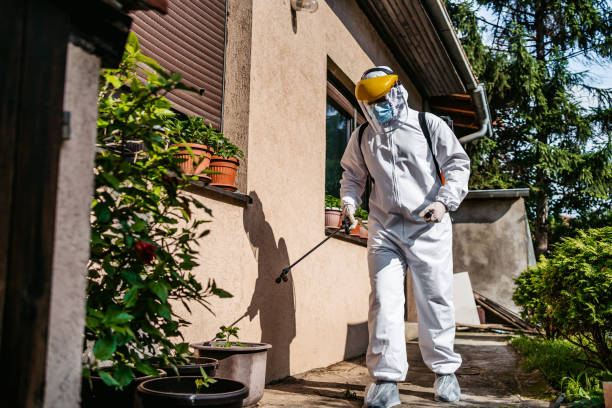 Best Pest Control Near Me  in Rexland Acres, CA