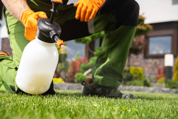 Best Affordable Pest Control Services  in Rexland Acres, CA