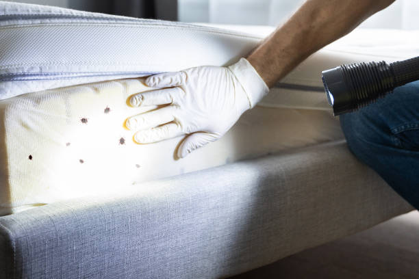 Pest Control Cost in Rexland Acres, CA
