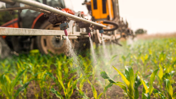 Best Wildlife Control Services  in Rexland Acres, CA
